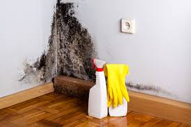 Dehumidification Services in Silver Lakes, CA